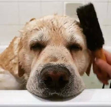 Load image into Gallery viewer, Ethical Global - Wash & Groom Pet Brush - Perfect for Dogs & Cats