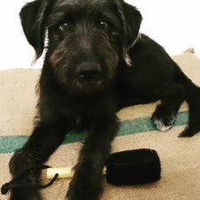 Load image into Gallery viewer, Ethical Global - Wash & Groom Pet Brush - Perfect for Dogs & Cats