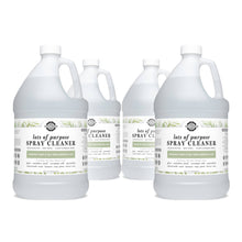Load image into Gallery viewer, Rustic Strength - Multi-use Spray Cleaner | Ready-To-Use | Toxin Irritant Free: Bergamot Cypress / 4 - 1 gallon plastic jugs