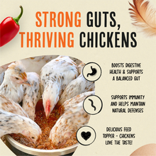 Load image into Gallery viewer, Roosty's - Flock Armor | Daily Chicken Dewormer | Flock Gut Support: 3-7 Birds (1lb supply)
