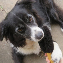 Load image into Gallery viewer, Ethical Global - Wash &amp; Groom Pet Brush - Perfect for Dogs &amp; Cats
