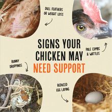 Load image into Gallery viewer, Roosty's - Flock Armor | Daily Chicken Dewormer | Flock Gut Support: 3-7 Birds (1lb supply)
