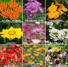 Load image into Gallery viewer, Alma Boheme Handmade - Seeded Wildflower Paper Heart
