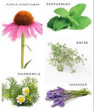 Load image into Gallery viewer, Alma Boheme Handmade - Medicinal Herb Tea Mix Seeded 10 Paper Hearts in Glass Jar
