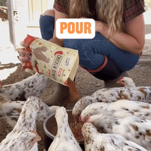 Load image into Gallery viewer, Roosty's - Flock Armor | Daily Chicken Dewormer | Flock Gut Support: 3-7 Birds (1lb supply)
