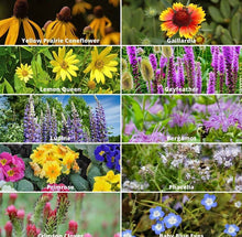 Load image into Gallery viewer, Alma Boheme Handmade - Wildflower Seed Paper Earth
