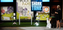 Load image into Gallery viewer, Pooch Paper for Small to Medium Sized Dogs
